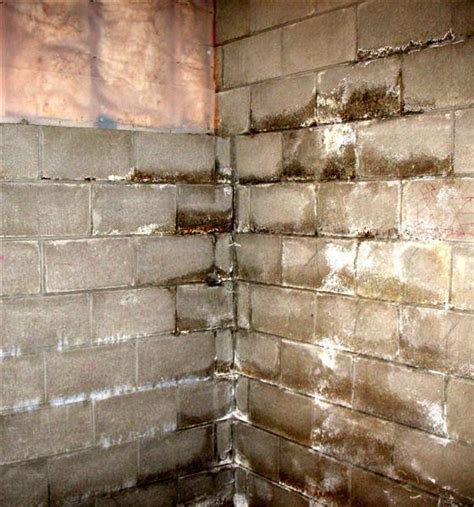 wet basement walls solutions